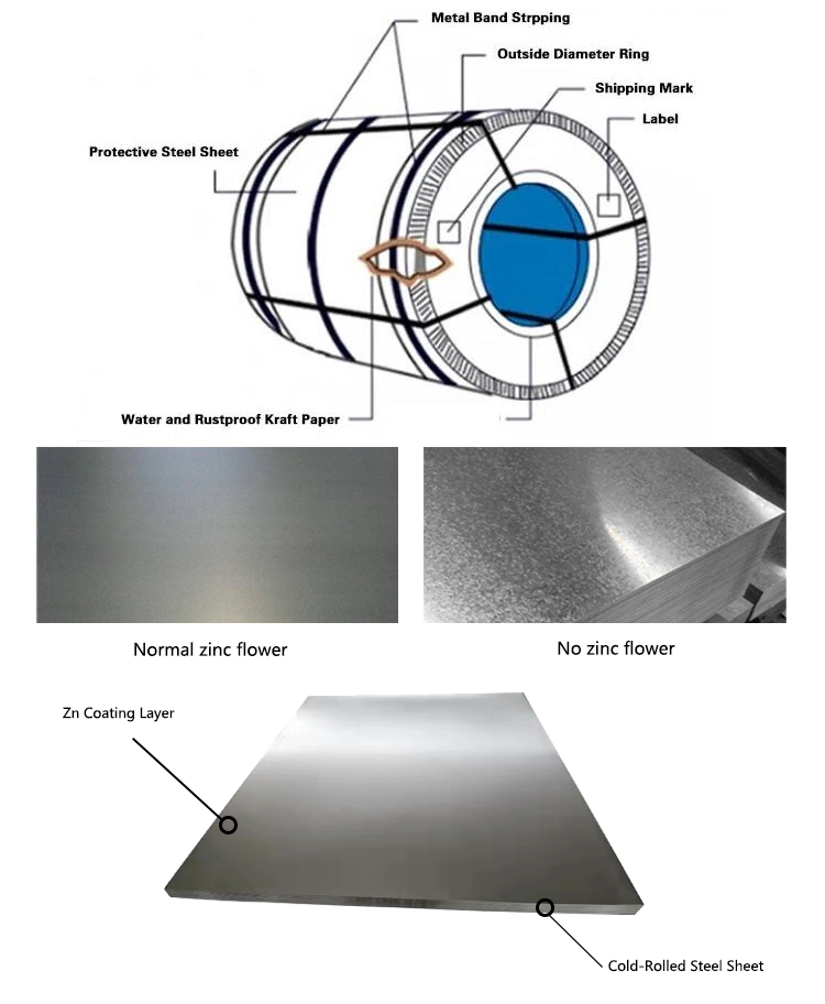 G400 Steel Coils Gi Zinc Coated Z-Shaped Steel and Galv Sheet and Coil Galvanised Steel Coil